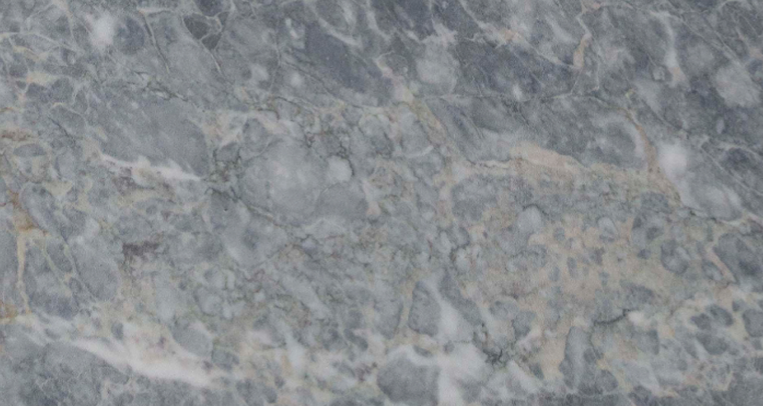 forest grey forest grey